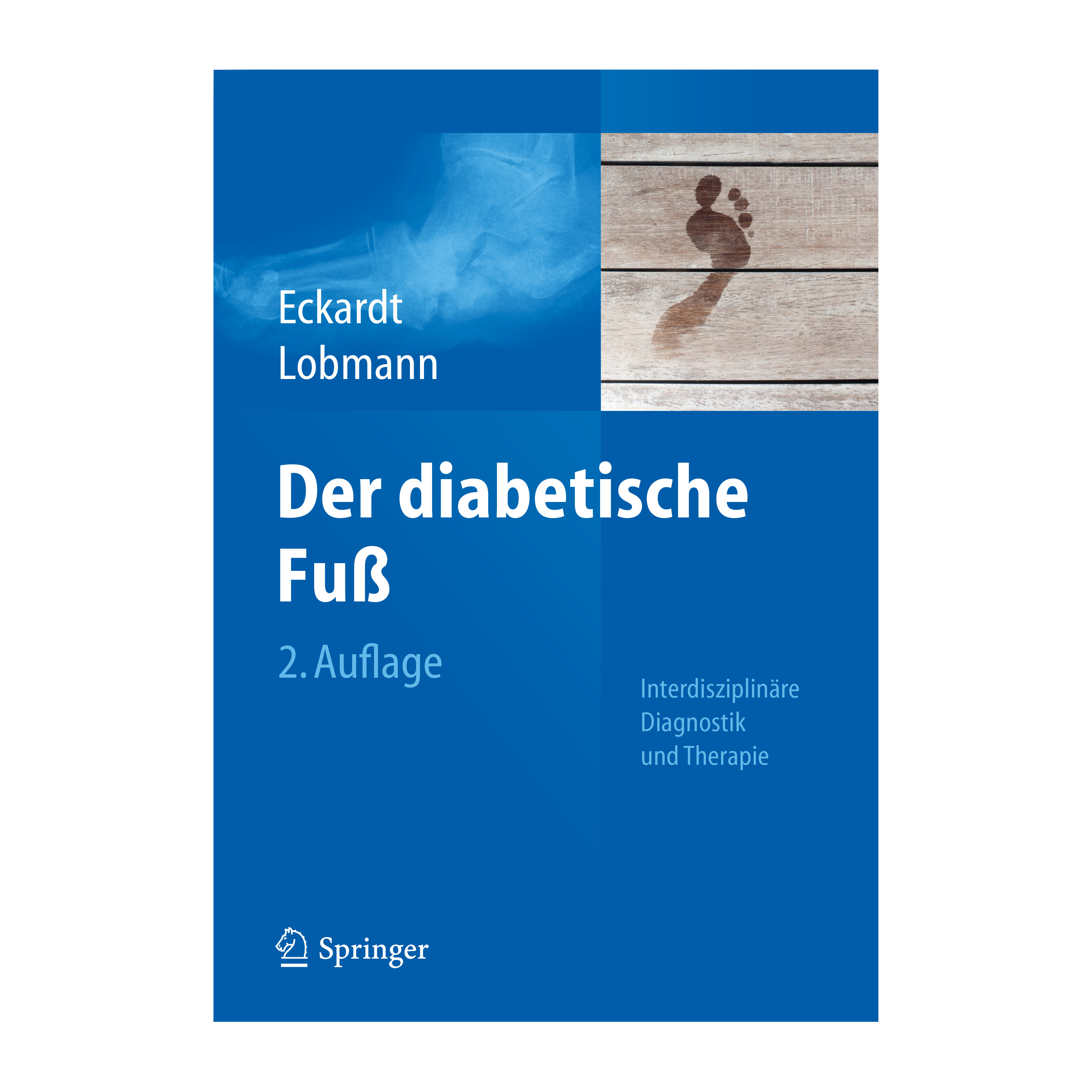 fachbuch-der-diabetische-fu_23952